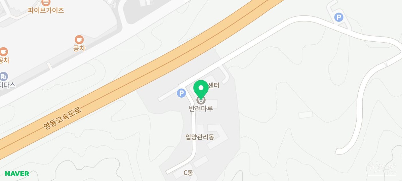 Exploring Banryeomaru: A Unique Space for Pets and Their Owners_11