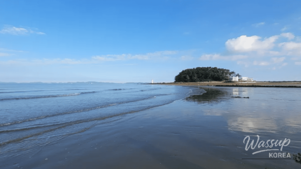 Exploring the Spring Charm of Hongseong_04