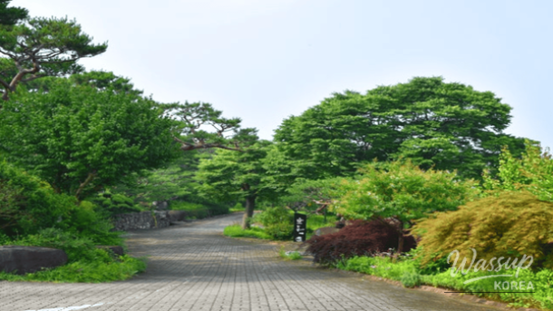 Exploring the Spring Charm of Hongseong_05