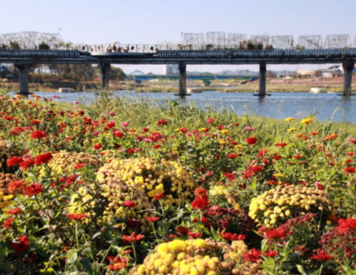 Discover the Beauty of Hwangryonggang Ecological Park in March float