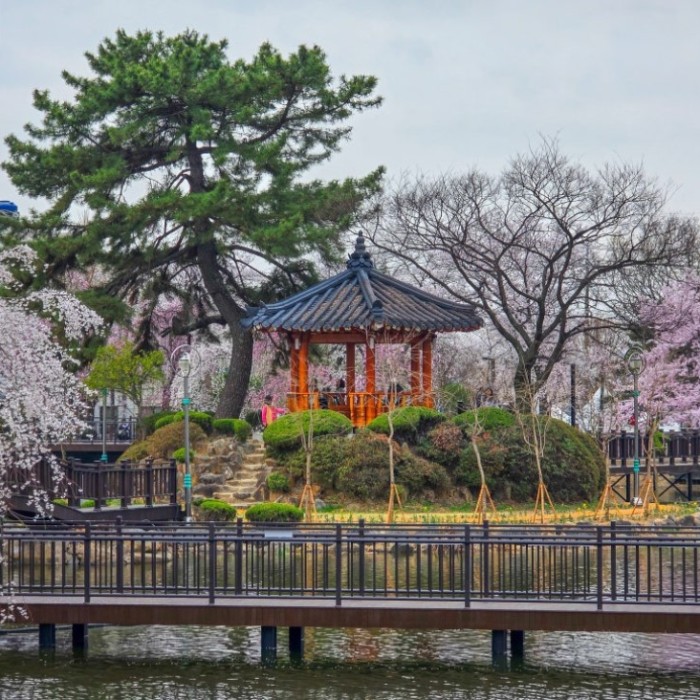 Spring Blossoms at Changnyeong Yeonji Pond1614