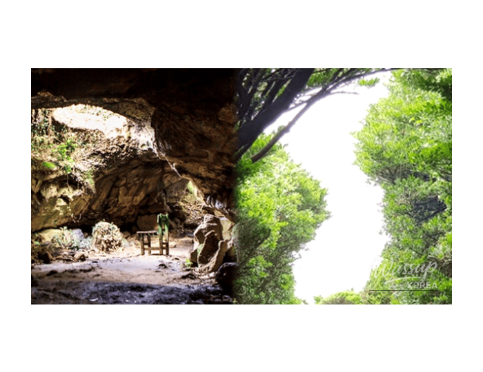 Top 4 Healing Spots in Korea for Spring Travel float