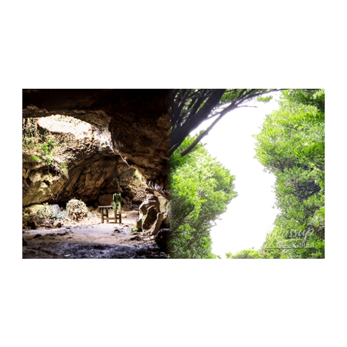 Top 4 Healing Spots in Korea for Spring Travel3214