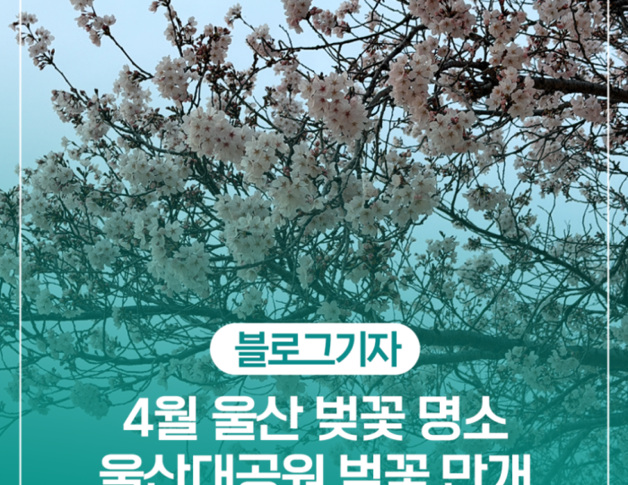 Spring Blossoms at Ulsan Grand Park float