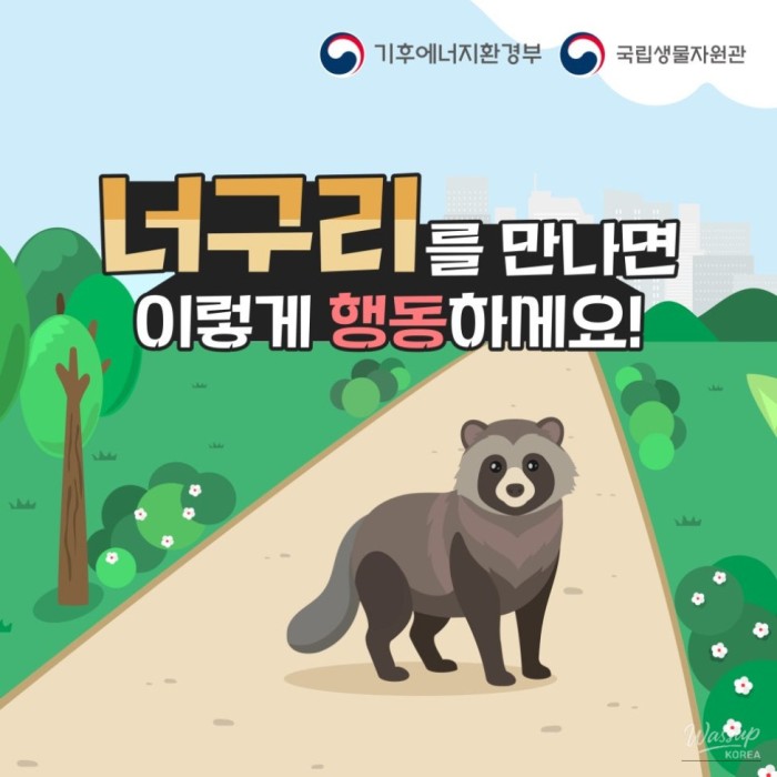 Wildlife Safety Guidelines1081