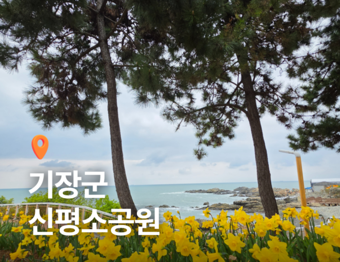 Exploring Sinpyeong Park: A Blooming Destination float