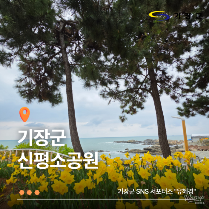 Exploring Sinpyeong Park: A Blooming Destination1604