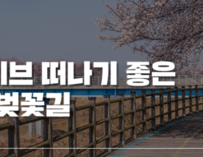 A Romantic Drive Along the Cherry Blossom Path of the Mangyeong River float