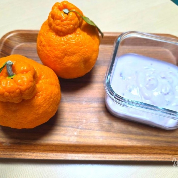 Delicious Jeju Hallabong Experience2086