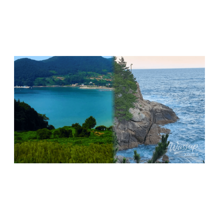 Best Quiet Beach Destinations in Korea for Spring3211