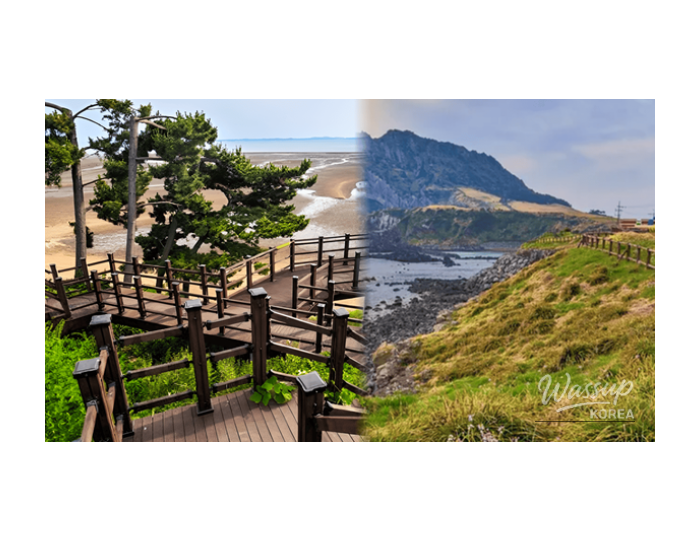 Exploring the Spring Charm of Hongseong float