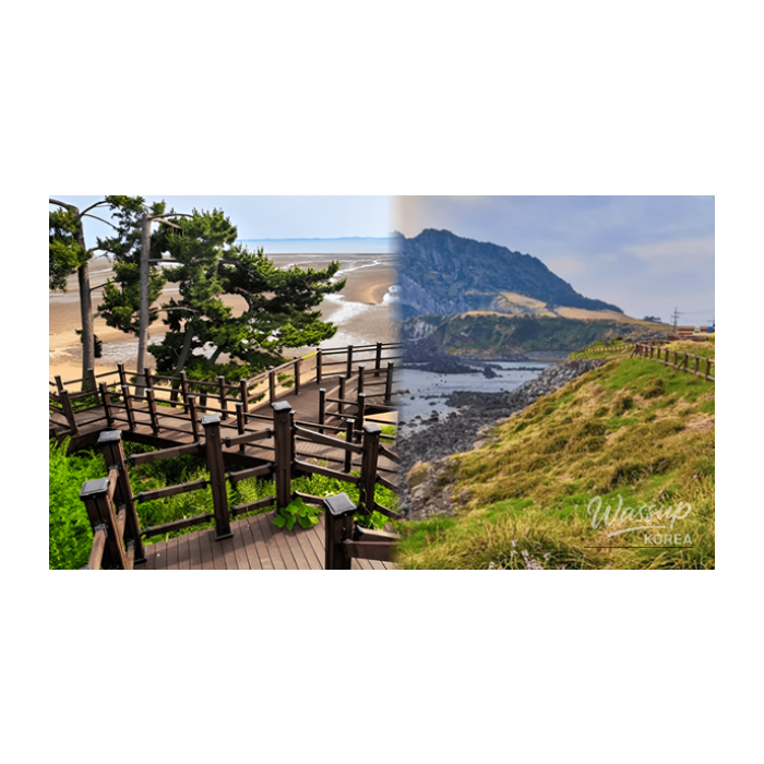 Exploring the Spring Charm of Hongseong_01