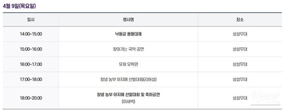 2026 Changnyeong Nakdonggang Canola Flower Festival_03