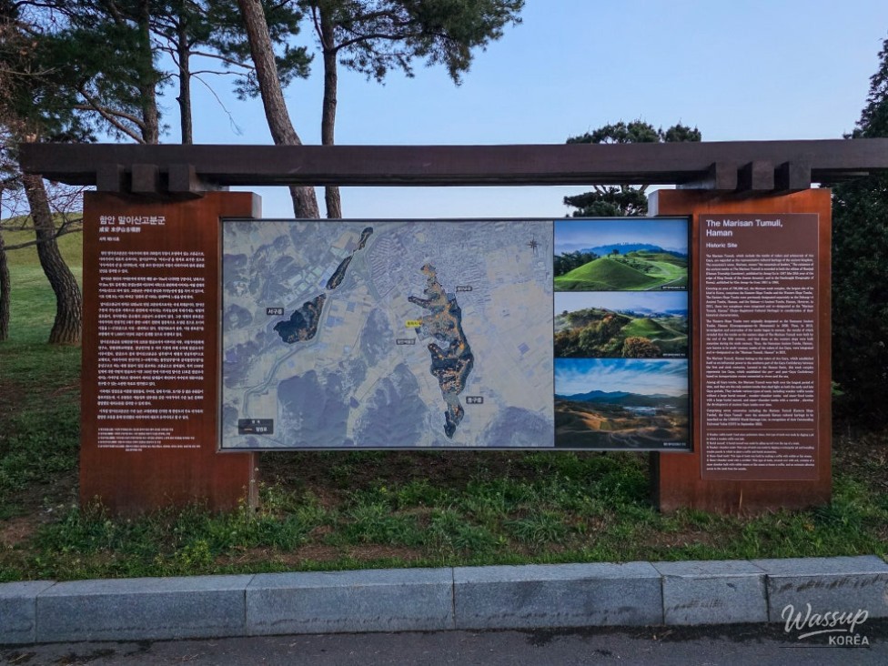 Exploring the Cherry Blossom Tree at Mari Mountain Tombs in Hamann_02