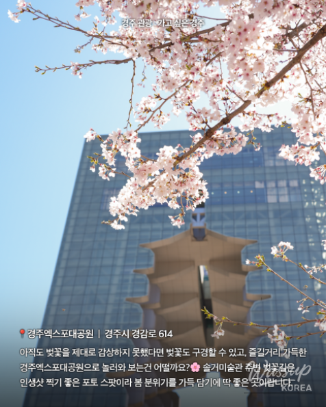 Spring Cherry Blossom Travel in Gyeongju_02