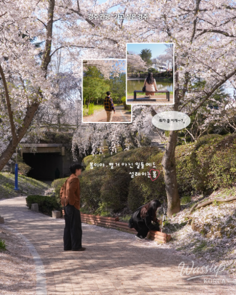 Spring Cherry Blossom Travel in Gyeongju_07