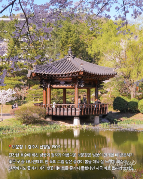 Spring Cherry Blossom Travel in Gyeongju_06