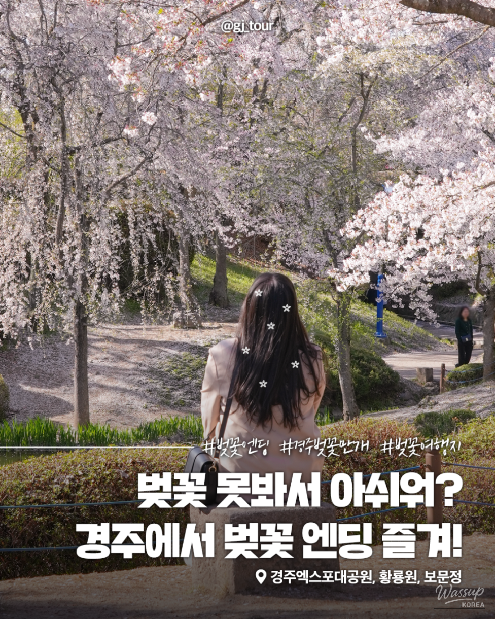 Spring Cherry Blossom Travel in Gyeongju_01