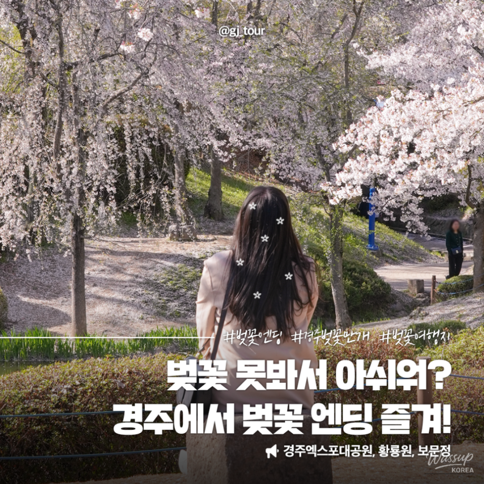 Spring Cherry Blossom Travel in Gyeongju_09