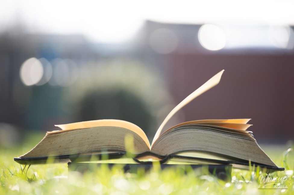 Reading in the Han River Park: A Cultural Experience_03