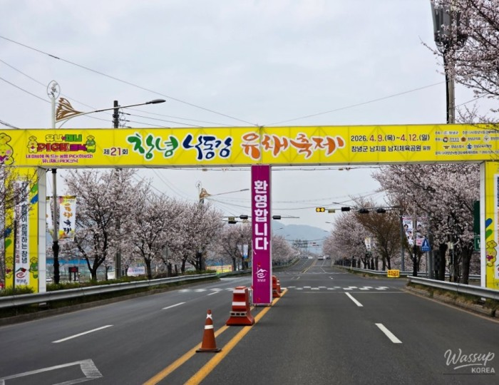 2026 Changnyeong Nakdonggang Canola Flower Festival float