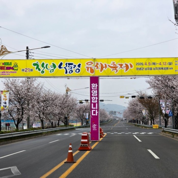 2026 Changnyeong Nakdonggang Canola Flower Festival1619