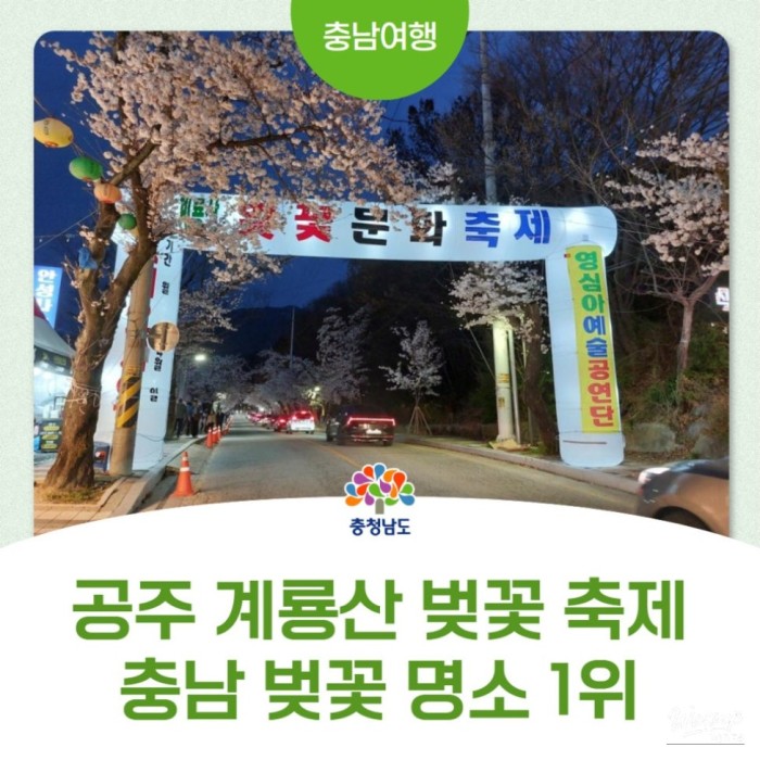 Gyerongsan Donghaksa Cherry Blossom Cultural Festival3221