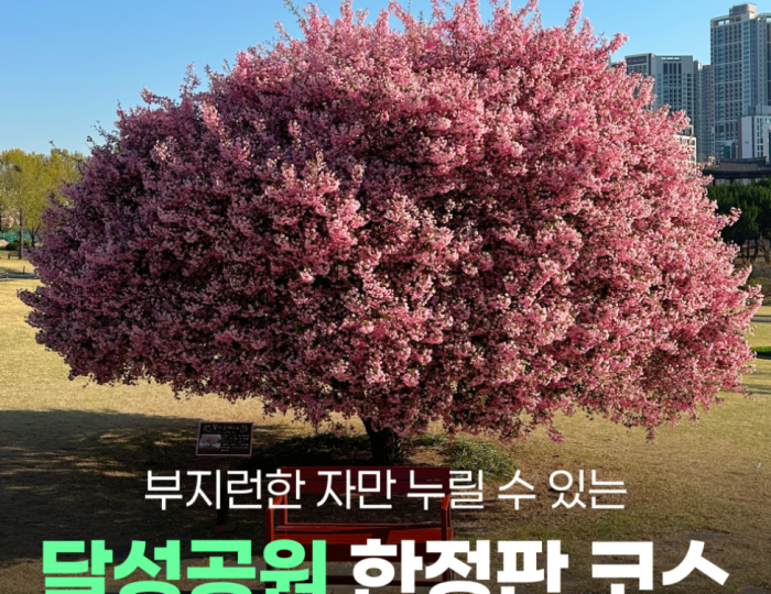 Spring Awakening at Daegu Dalseong Park float