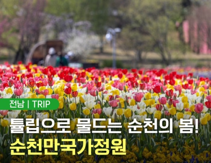Spring Blooms at Suncheon Bay National Garden float