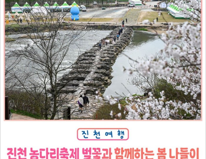 Spring Blossom Festival at Chungbuk Jincheon Nongdari float