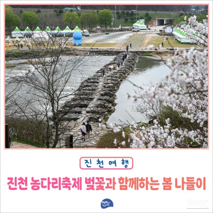 Spring Blossom Festival at Chungbuk Jincheon Nongdari3217