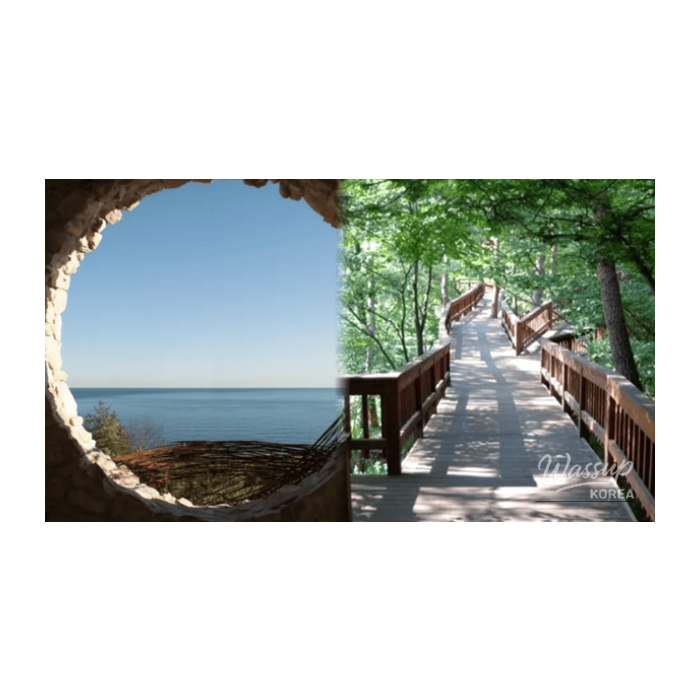 Discover the Charming Spring Attractions of Gangneung3226