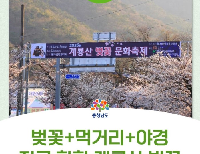 2026 Gyeryongsan Cherry Blossom Festival: A Spring Delight float