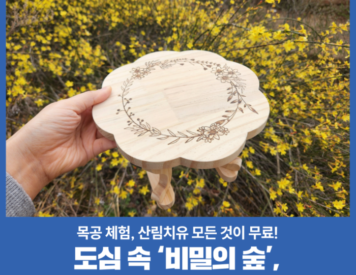 Exploring the Tranquility of Seoul National University Anyang Arboretum float