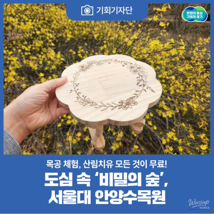 Exploring the Tranquility of Seoul National University Anyang Arboretum1620