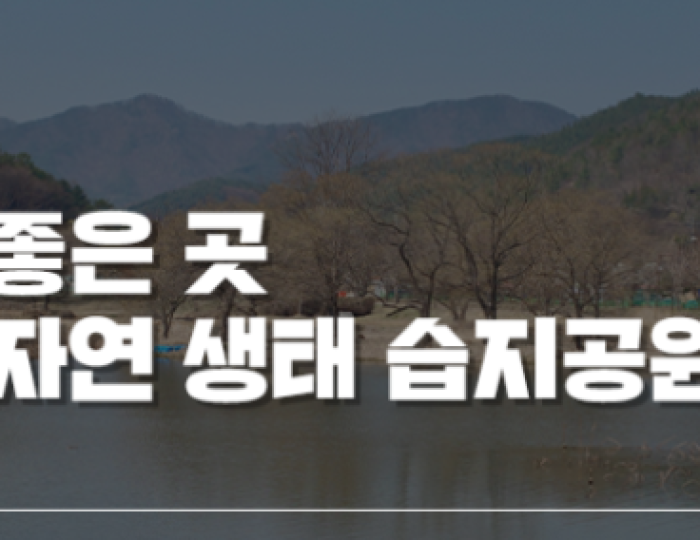 Springtime Reflections in Jinan, Jeollabuk-do float