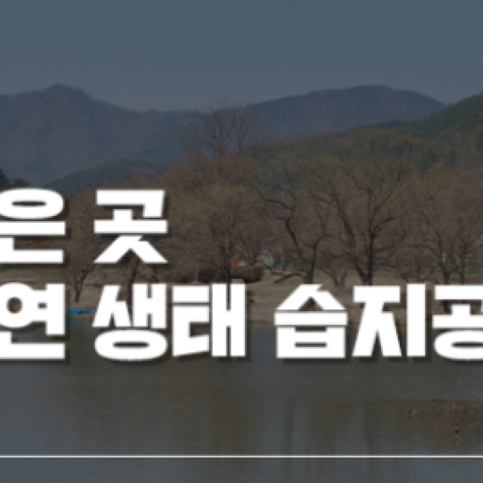 Springtime Reflections in Jinan, Jeollabuk-do1622