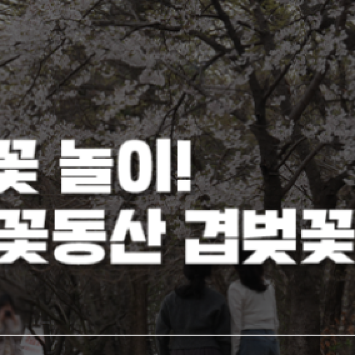 Spring Blooms at Wansan Chilbong Flower Hill in Jeonju1623