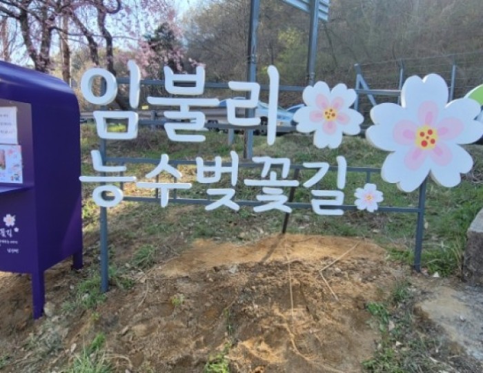 Exploring the Beautiful Cherry Blossom Road in Geochang float