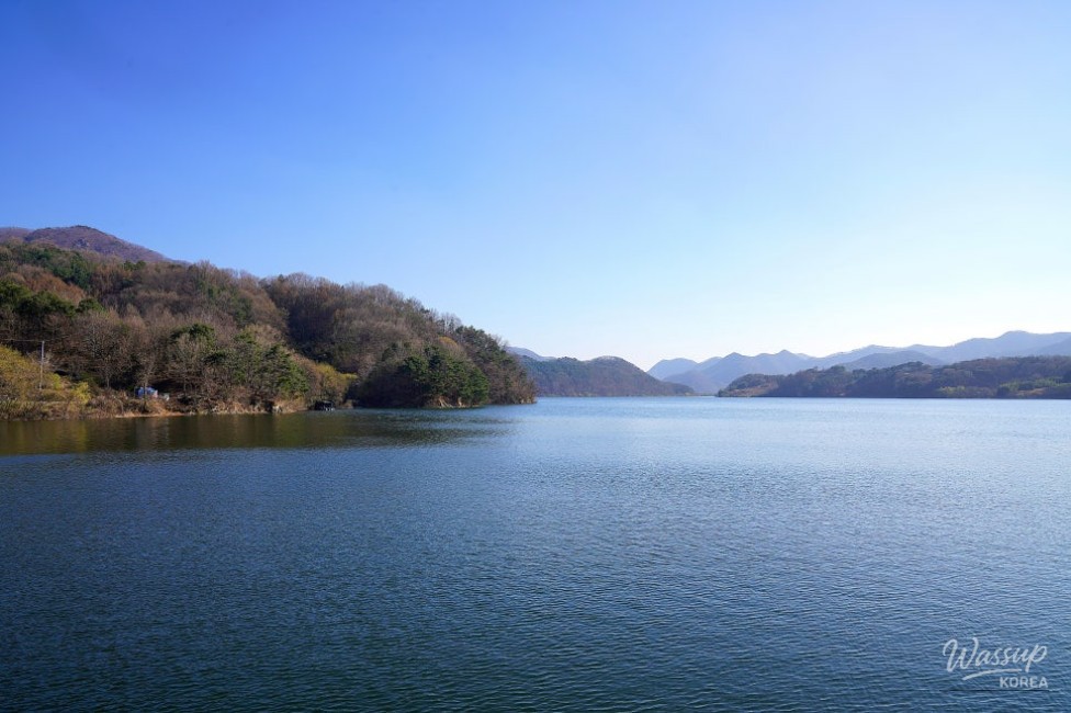 Exploring the Beauty of Guui Reservoir Cherry Blossom Trail_10