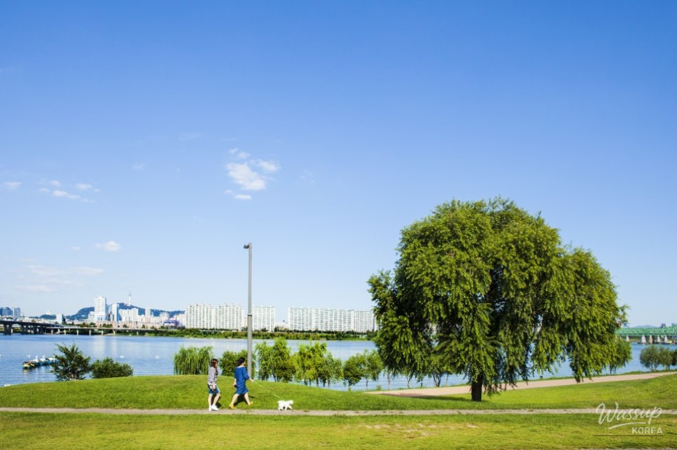 Explore the History of the Han River: A Walking Tour_02