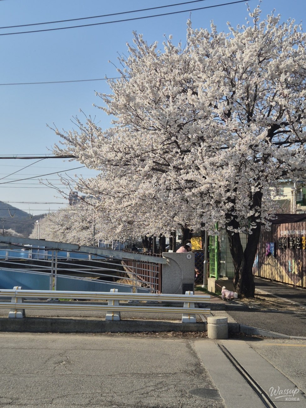 A Memorable Dining Experience at Gwangtan Meat House_03