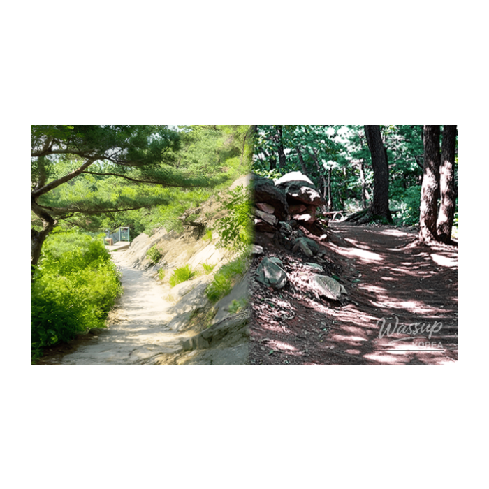 Spring Getaways in Guri: Top 4 Must-Visit Spots3239