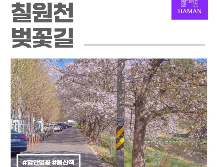 Spring at Chiwoncheon Cherry Blossom Road float