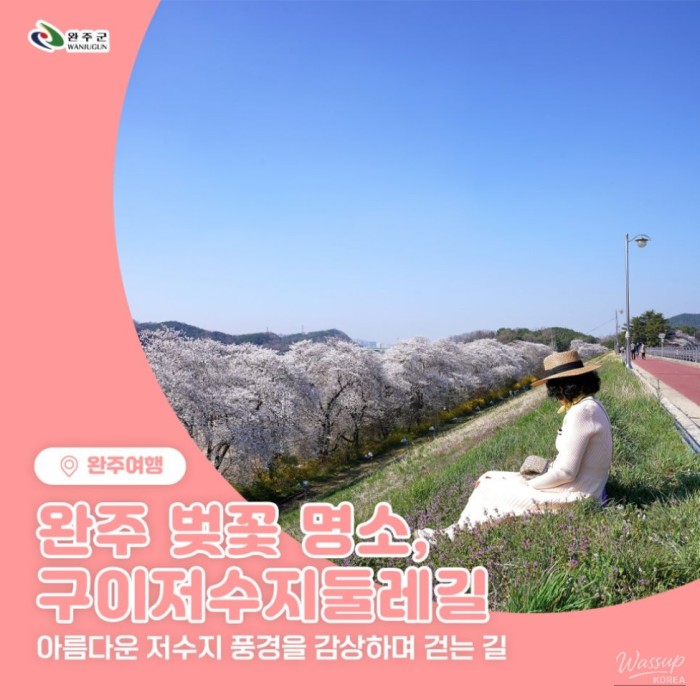 Exploring the Beauty of Guui Reservoir Cherry Blossom Trail356