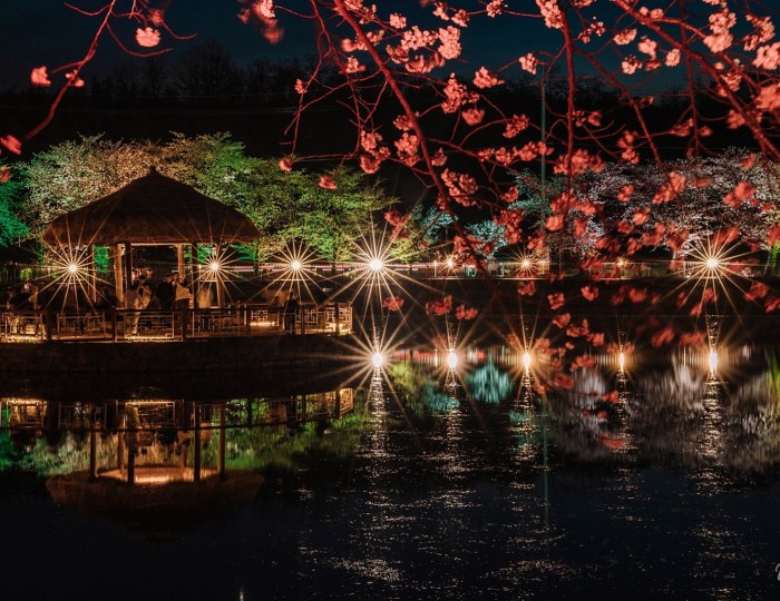 A Night More Beautiful Than Day: A Visit to Goljeong Reservoir in Dangjin float