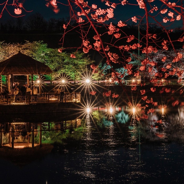 A Night More Beautiful Than Day: A Visit to Goljeong Reservoir in Dangjin3248