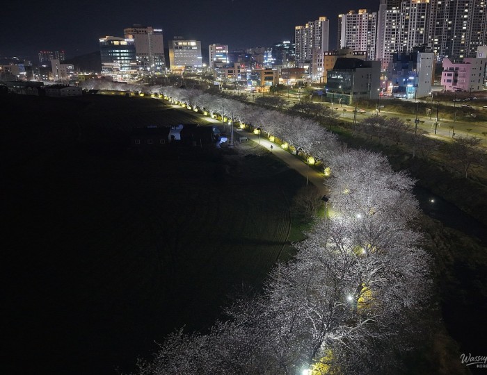 The 18th Dangjin Sunseong Cherry Blossom Festival float