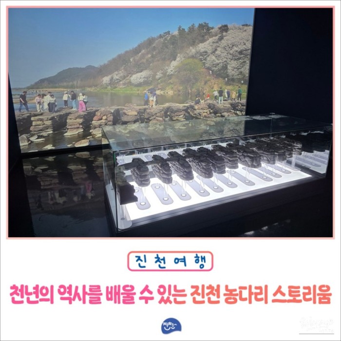 Exploring the Historical Jincheon Nongdari Storyium3247