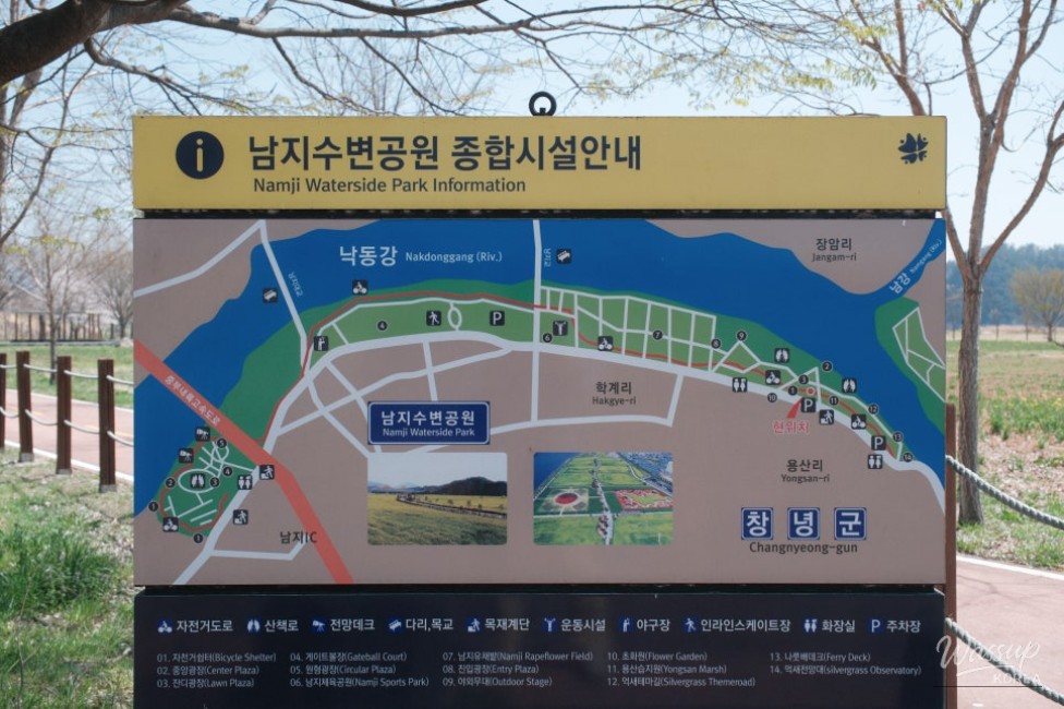 Discovering the Cherry Blossom Spot at Namji Waterfront Park_02